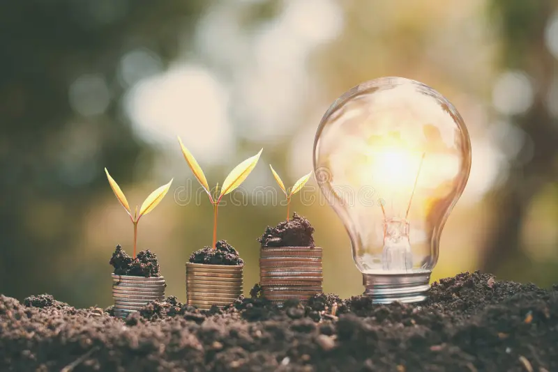 money growht small tree light bulb soil concept saving energy finance 136479615